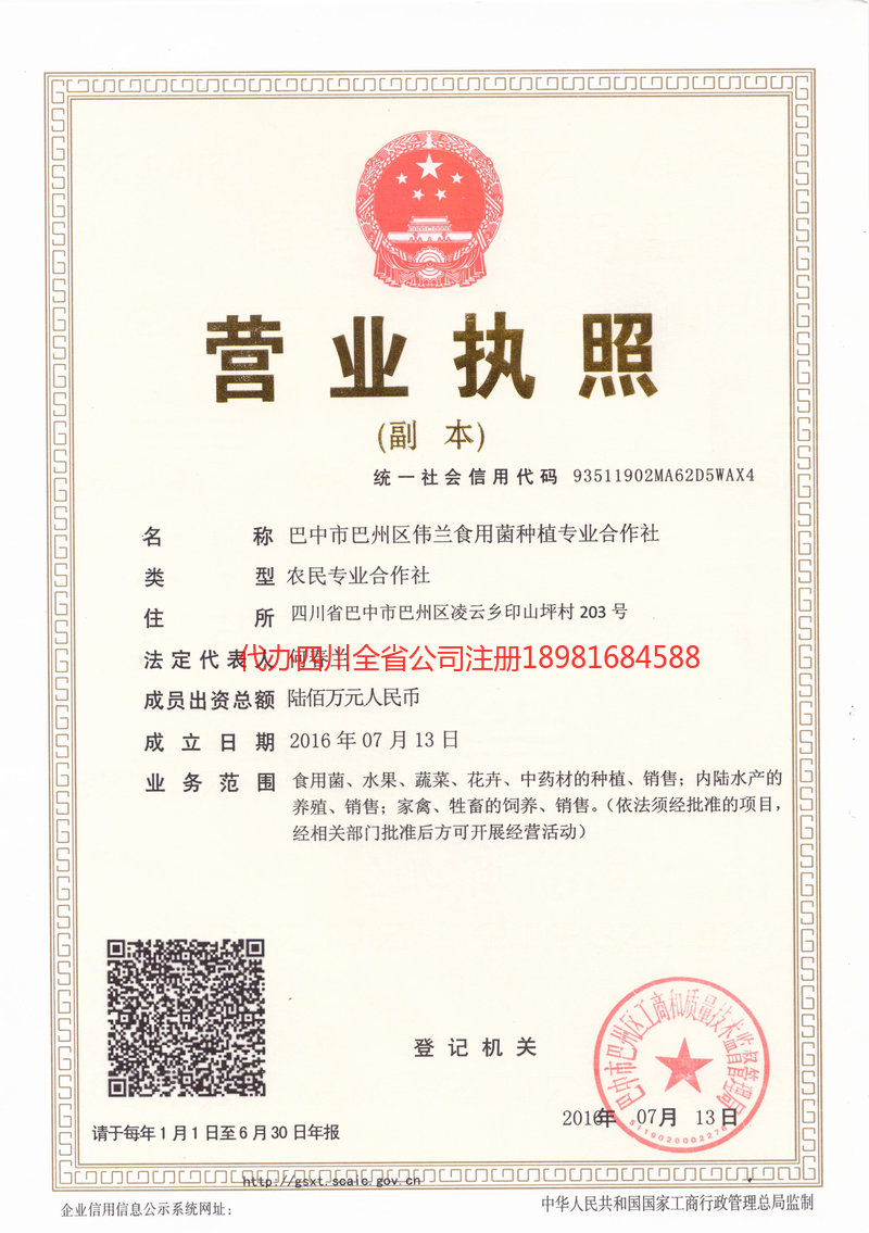 贵州贵州伟兰食用菌种植专业合作社